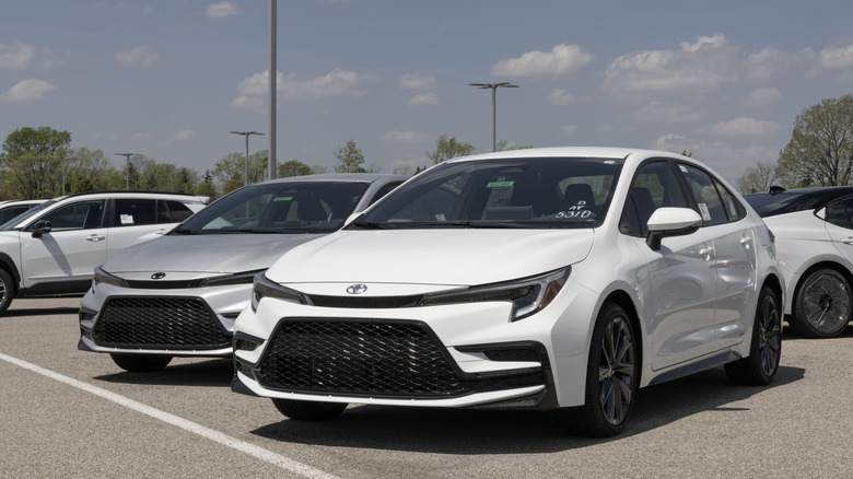 Toyota Corollas parked in a lot.