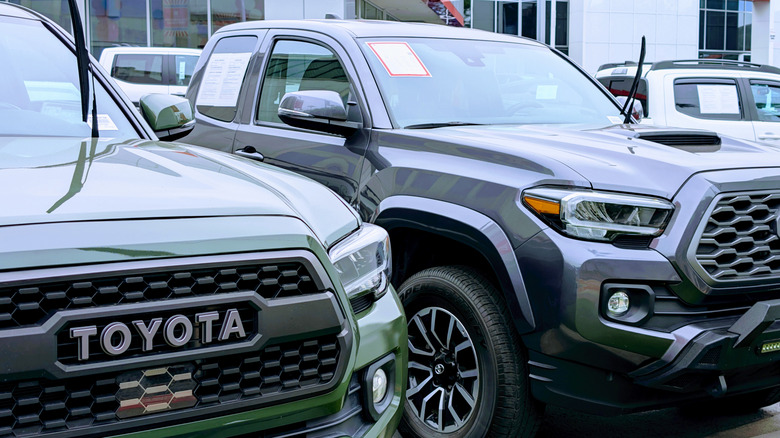 Tacoma trucks parked in a lot.