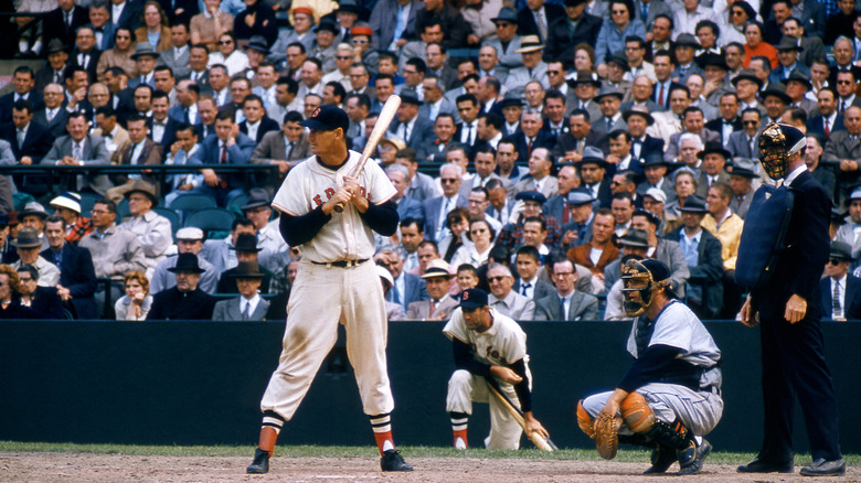 Baseball player Ted Williams at bat