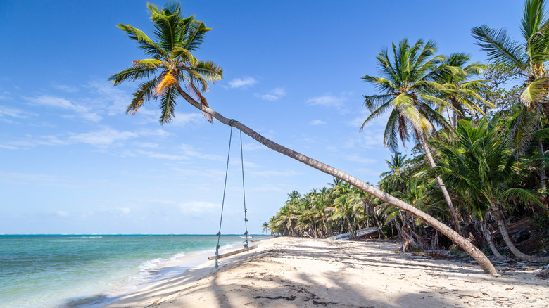 Tree with swing on Little Corn Island beach.