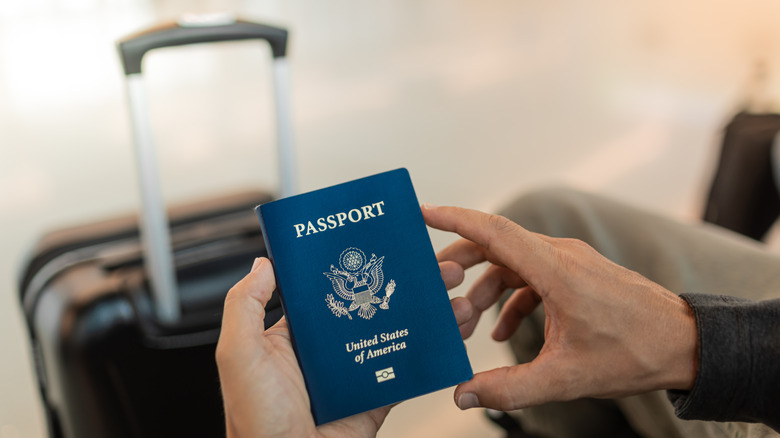 Person holding passport with suitcase in background.