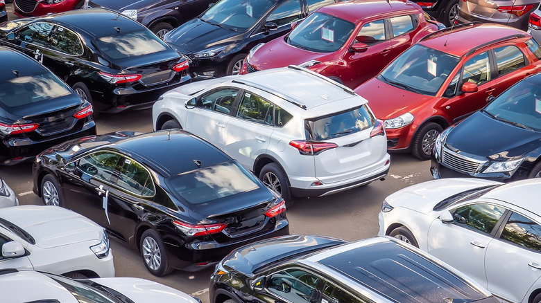 A selection of new and used cars in a lot