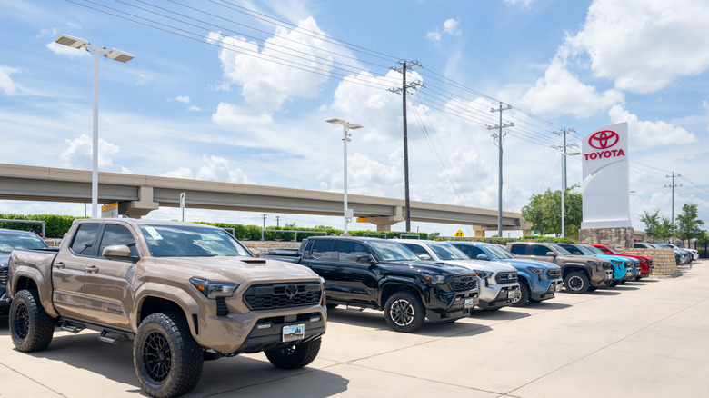 A row of Toyota Tacomas at a dealership.
