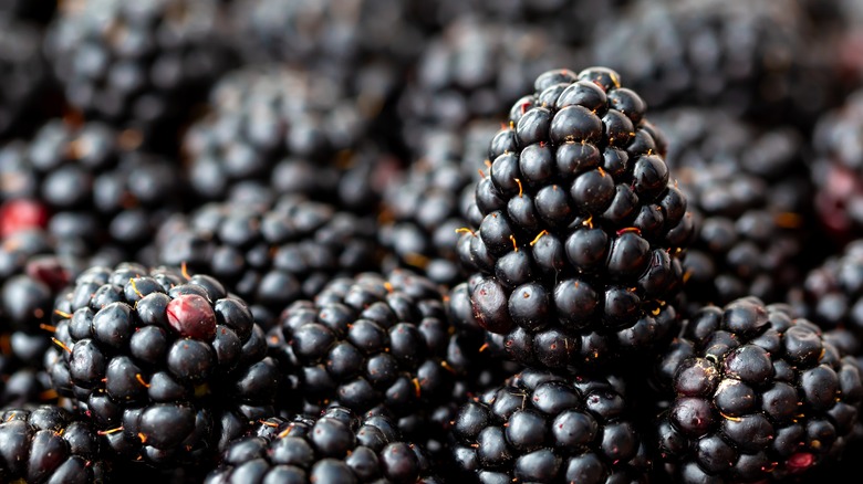 Fresh ripe blackberries as background, top view.