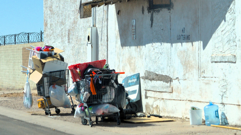Shopping carts filled with items in Arizona.