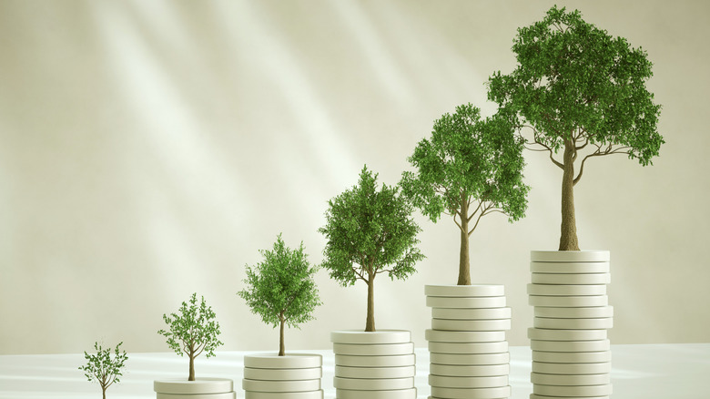 growing trees on stacks of coin chips