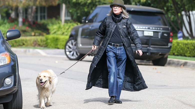 Diane Keaton walks her dog, Reggie, in a bright parking lot
