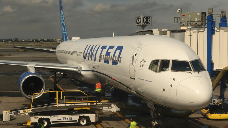 A United Airlines airplane is serviced at a gate at Newark Liberty International Airport