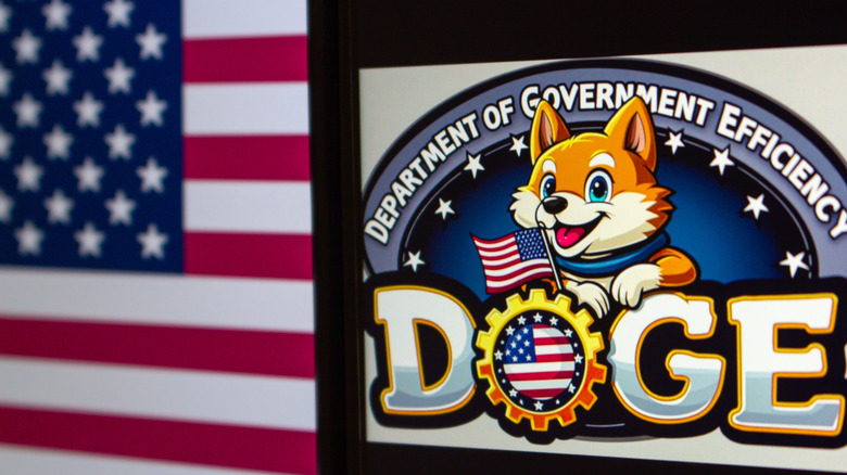 The Department of Government Efficiency's cartoon chibu inu dog logo on a screen, with the American flag in deep background.
