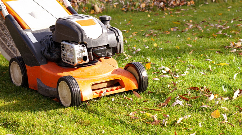 a lawnmower on a lawn dotted with leaves