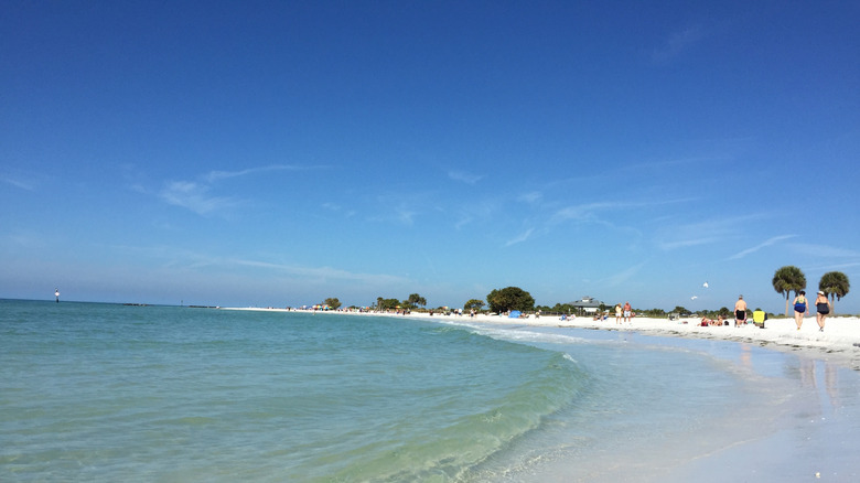 Beach on Honeymoon Island in Dunedin, Florida.