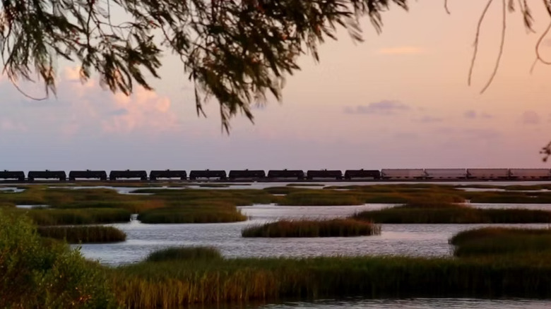 wetlands with passing train in background