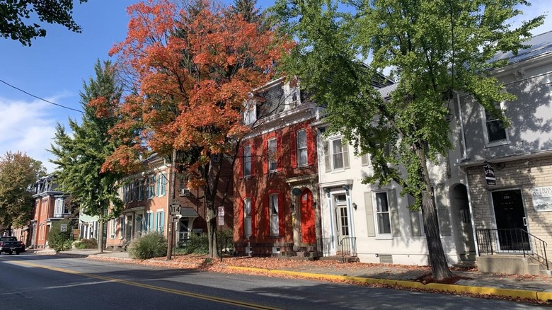 row of historic homes on tree-lined street