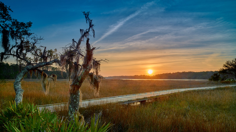Skidaway Island State Park boardwalk in Georgia