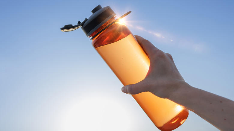 Woman's hand holding a plastic reusable water bottle up to direct sunlight
