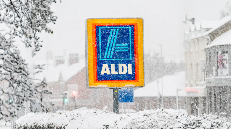 An Aldi store sign in a parking lot during a snowstorm, framed by snow-covered evergreen tree and bush
