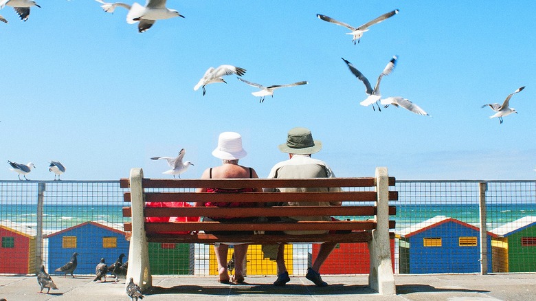 Bench, older couple watching waves