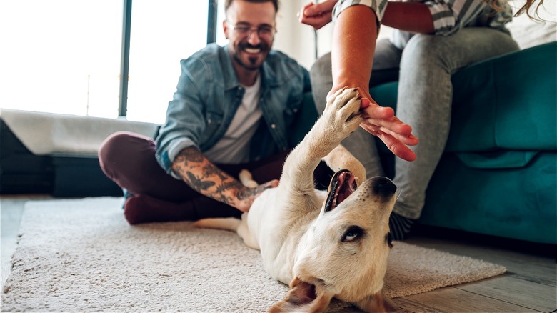 Couple playing with dog