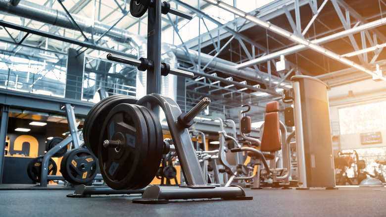 Exercise equipment and machine in gym.