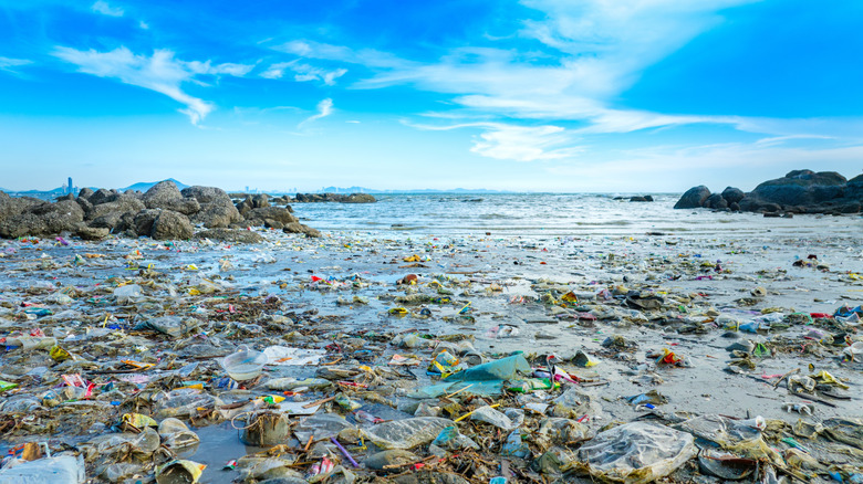 plastic bags, plastic bottles and other trash cover a beach