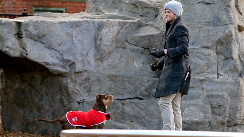 Tom Brady with dog Lua in Boston in 2014.