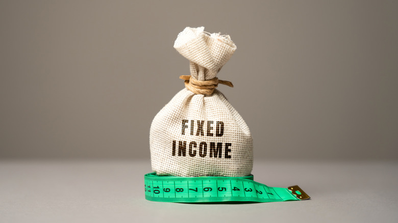 A money bag with the text "fixed income" on front