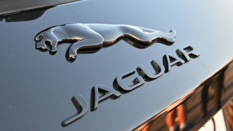 Jaguar logo on a car