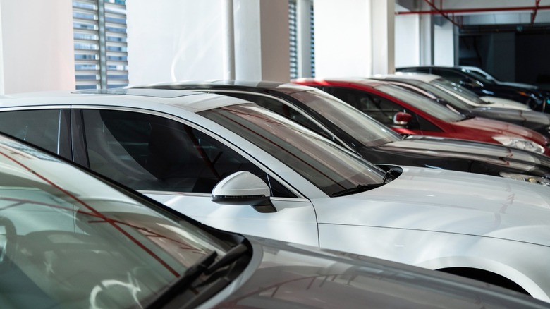 Row of modern sedans parked side by side inside a bright car dealership showroom