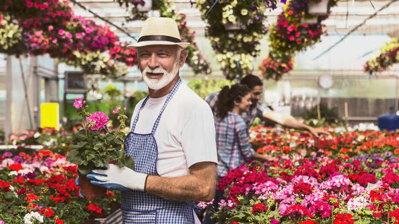 senior working in a greenhouse