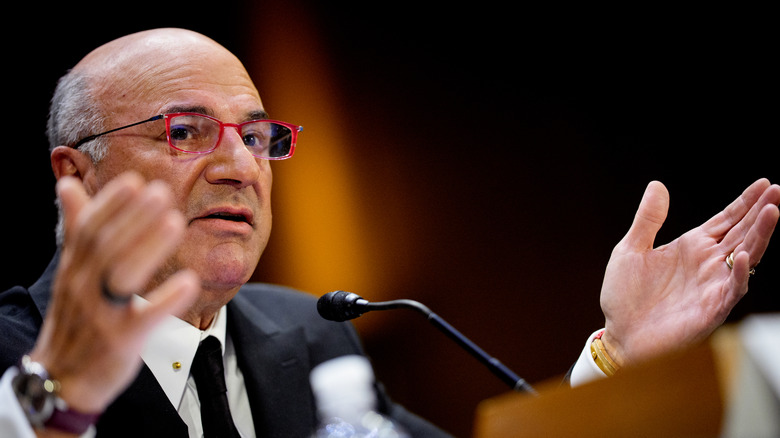 Kevin O'Leary talking before Congress