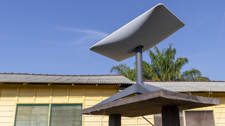 A Starlink satellite internet dish mounted outdoors on a raised platform beneath a clear blue sky, with palm trees and a building in the background