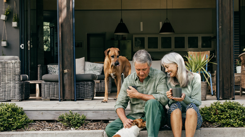 Happy older couple outdoors with two dogs