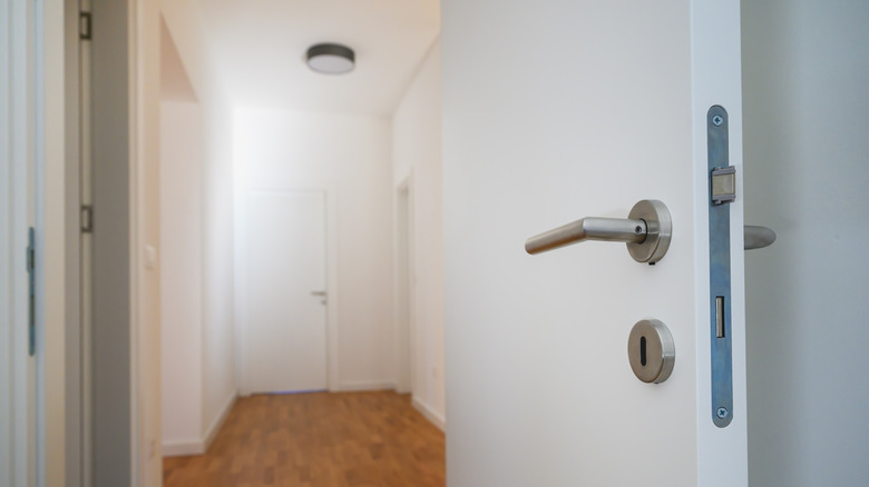 Metal lever door handle on white door leading to hallway