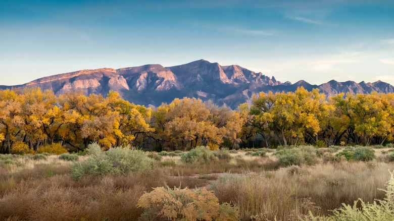 Sandia Mountains in New Mexico