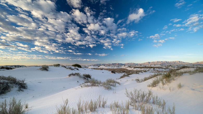 White Sands National Park under blue skies and white clouds