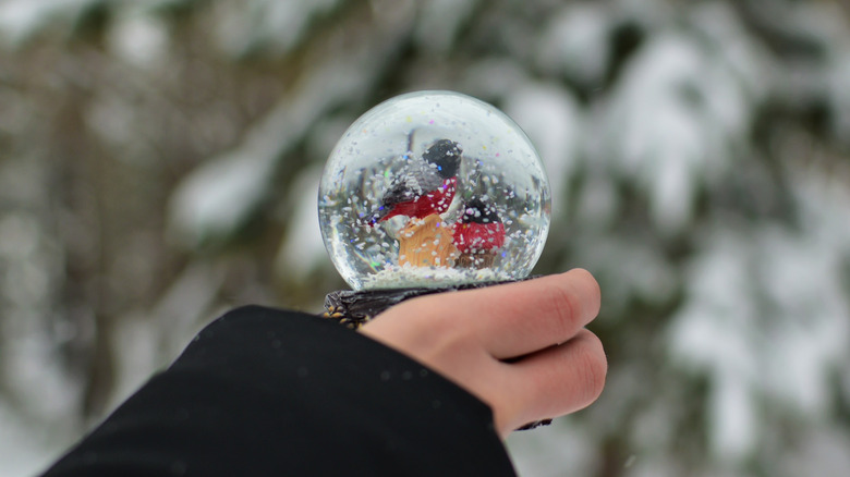 Person holding a snow globe