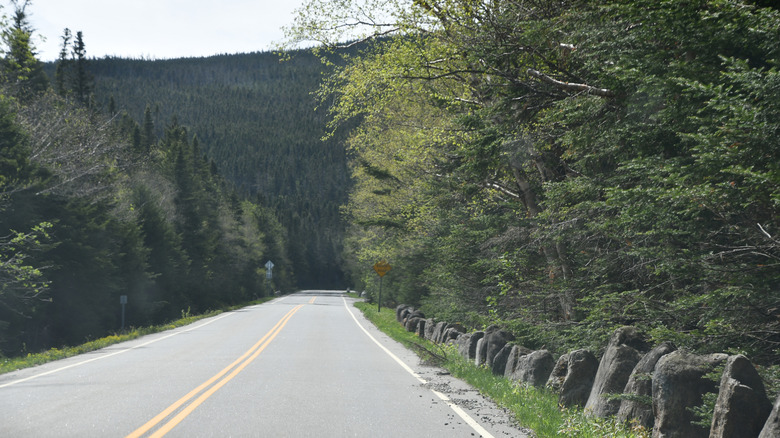 A road on a sunny day