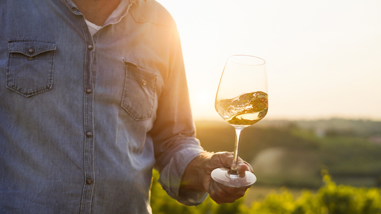 Person holding wine glass in vineyard