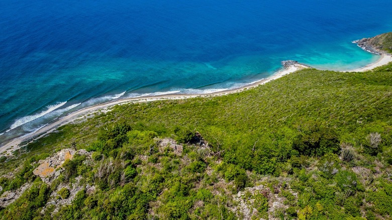 Sea coast from a bird eye view