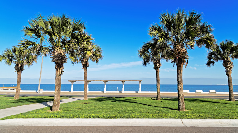 McGee Beach, Corpus Christi