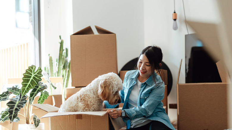 Dog climbing into moving box as woman packs