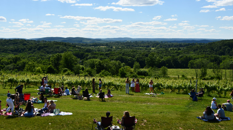 People relaxing in a green field at Gouveia Vineyard in Wallingford