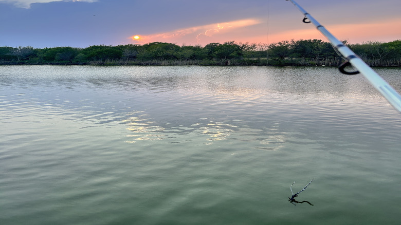 The Nueces River at dusk