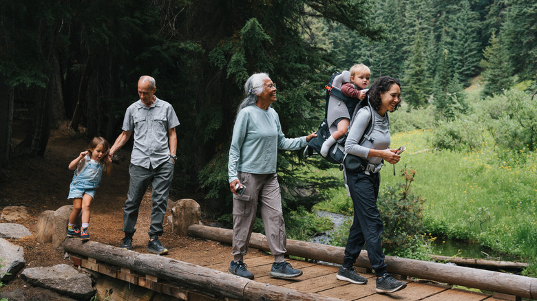 Family hiking in the Pacific Northwest.
