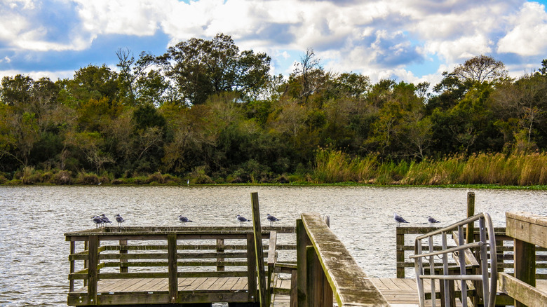 Armand Bayou in Pasadena, Texas
