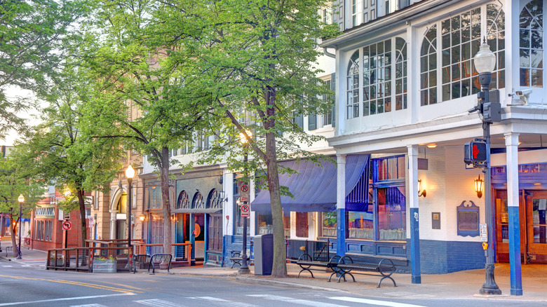 Tree-lined city street in State College, Pennsylvania