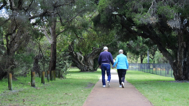 a senior couple walking in a park