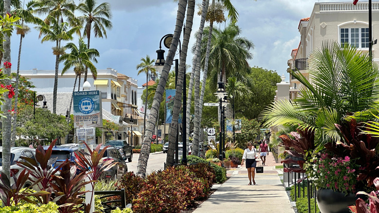 naples, florida boulevard