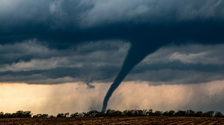 tornado towering above tree line in rural area