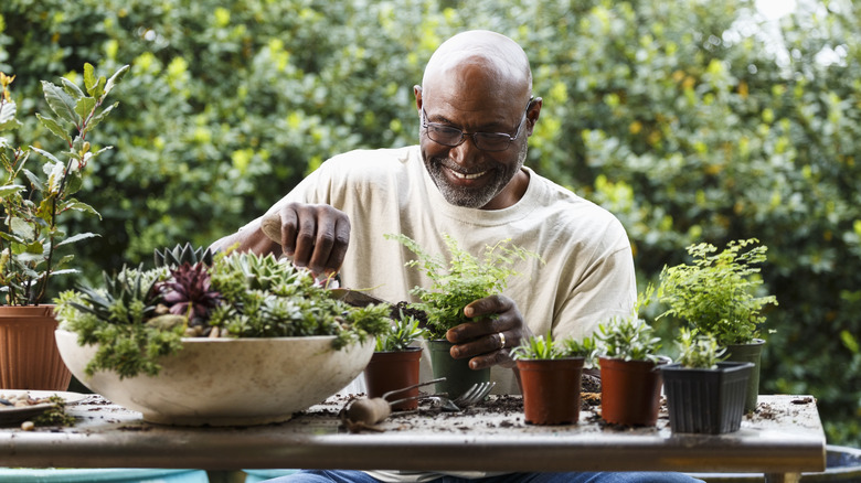 a retiree working on his garden